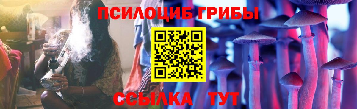 Псилоцибиновые грибы Psilocybine cubensis Мариинск